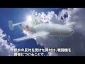 ロケット特攻兵器 【桜花】 生き残った特攻隊員と開発者の記録