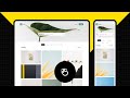 Autolayout, Resizing and Responsiveness