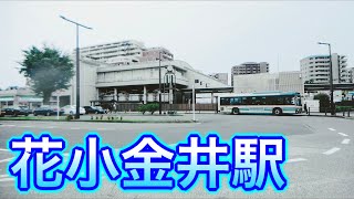 西武新宿線 花小金井駅周辺を歩く　around HANAKOGANEI Station walk video 2020.7.13