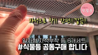 제라늄 ,식물등 공동구매  #건강한조명 구입방법 '더보기'에