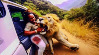 When Animals Go On A Rampage! Interesting Animal Moments CAUGHT ON CAMERA