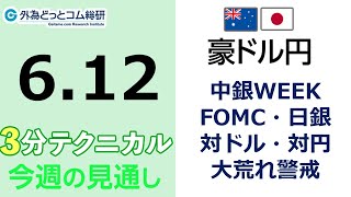 豪ドル/円見通し「中銀WEEK FOMC・日銀 対ドル・対円、 大荒れ警戒」見通しズバリ！3分テクニカル分析 週間見通し　2023年6月12日