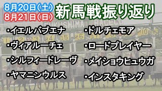 【JRA2022新馬戦】2022年8月20日・21日　新馬戦振り返り【新潟・小倉・札幌】