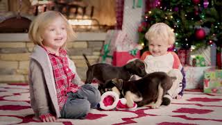 Happy Holidays from The Wolf Pack at Phillip S. Georges, PLLC!