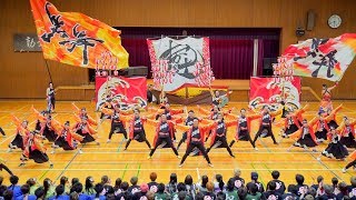 [4K] 笑舞　犬山踊芸祭 2019 よさナイト