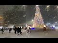 雪夜の輝き；青森市アスパム　クリスマスマーケット