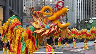 🐲🐉 Year of the Snake Celebration 🐍🧧 Chinatown, San Francisco 🐉🐲