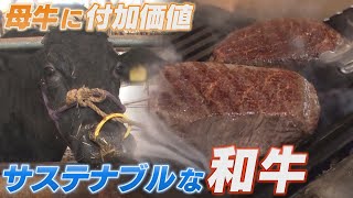 経産牛も濃厚な味　栄養価の高い食品残さをバランスよく配合したエサが肉質を変える【LBS島根発】