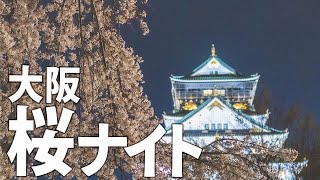 【大阪】ローカル民が教える！歩いて行ける桜の名所