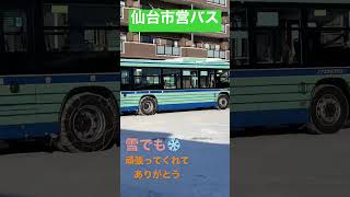 【雪にも負けず】仙台市営バス🚌ありがとう｜10年に一度の寒波❄️