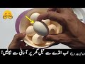 Desi Ande Ka Tail Egg Oil Banane Ka Tariqa | Roghan Baiza Murgh Benefits And Uses