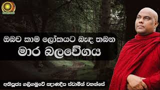 ඔබව කාම ලෝකයට බැඳ තබන මාර බලවේගය - අතිපූජ්‍ය ගලිගමුවේ ඤාණදීප ස්වාමීන් වහන්සේ