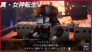 【#075】【PS4】【真・女神転生V】 サブクエスト：憎しみの蛮声