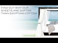 Softer Than 1,000 Thread-Count Egyptian Cotton | Cariloha Bamboo Sheets