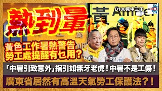 熱到暈！黃色工作暑熱警告，勞工處提醒有乜用？「中暑引致意外」指引如無牙老虎！中暑不是工傷！廣東省居然有高溫天氣勞工保護法？！｜瘋中三子｜蔡浩樑（蔡蔡子）、阿通、蝌蚪