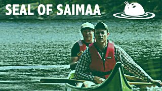 Seal of Saimaa - English