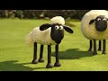 shaun the sheep 🐑 hungry for apples cartoons for kids 🐑 full episodes compilation 1 hour