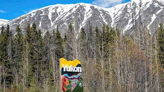 Spring In The Yukon #1 Mountains, Meadows, Wetlands and Wildflowers June, 2025