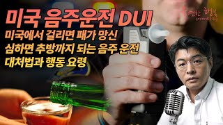 미국에서 음주운전하다 패가 망신, 심하면 추방까지 되지요. 대처법과 행동 요령