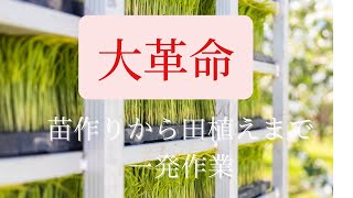 米農家に大革命！！！全国農業新聞、現代農業11、12月号掲載。11月下旬に田植え終了！？？？その名は初冬直撒き。