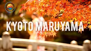 KYOTO MARUYAMA PARK AUTUMN FEELS WALK TOUR