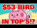 $53 BIRD IN TOP 5!? | 3591 MMR Top Rank | Axie Infinity