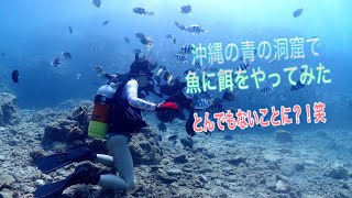 青の洞窟のダイビング中に餌付けをしてみたら周りは魚だらけ！