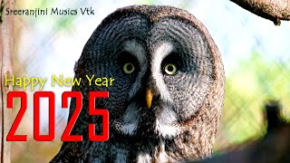 TWO THOUSAND TWENTY FIVE /HAPPY NEW YEAR /SURESH KUMAR /ANIRUDH /HARIDAS VTK /SREERANJINI MUSICS VTK