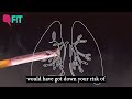 what happens to your body when you stop smoking the quint