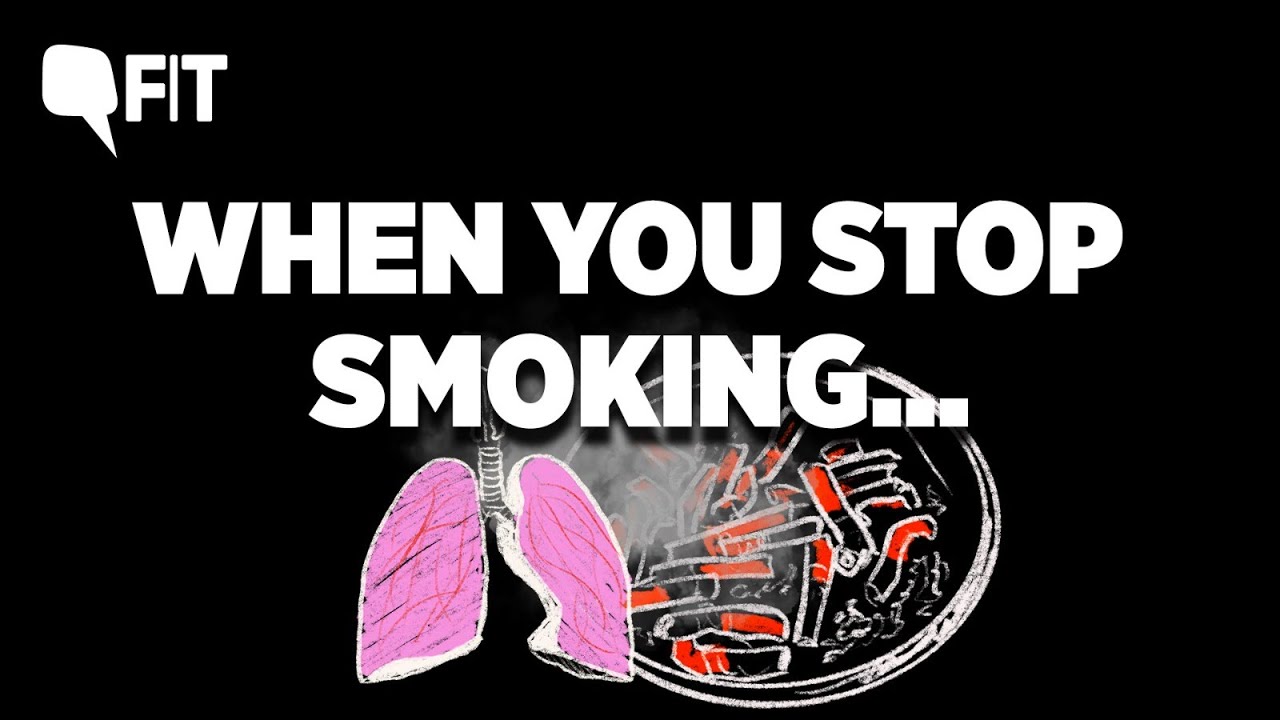 What Happens To Your Body When You Stop Smoking? | The Quint - YouTube