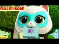 SuperKitties Valentine's Day Full Episode 💘 | Vanishing Valentines/Golden Gift | @disneyjunior