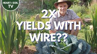 Can Electricity Really Double Your Crop Yield? Electroculture 👀 | Yannick Van Doorne
