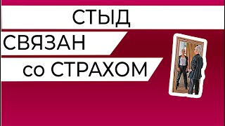 Стыд, страх, вина - нарцисс помогает невротику разозлиться