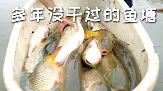 【戶外捕魚VLOG】花一箱啤酒包下一口很多年沒幹過的魚塘，沒想到裏面竟然有...