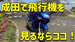 さくらの山で飛行機を眺めながらツーリングの疲れを癒しましょう！ひこうきの丘で見られなかった場合はさくらの山に行きましょう！