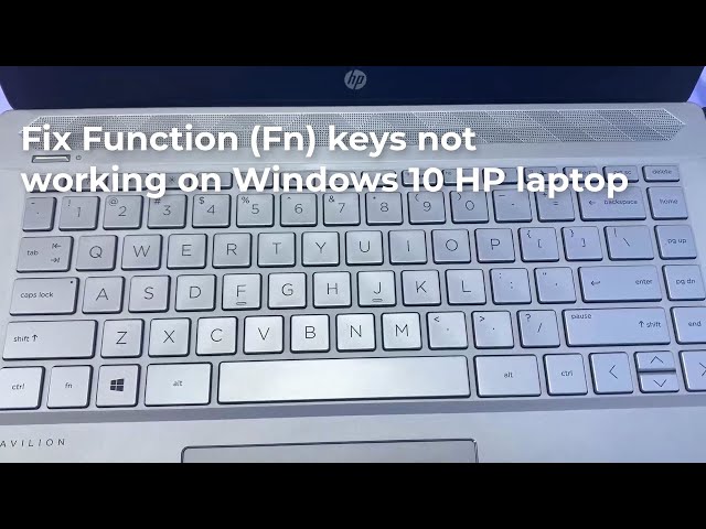 Fix Function Fn Keys Not Working On Windows 10 Hp Laptop 58 Off Fix Function Fn Keys Not Working On Windows 10 Hp Laptop 58 Off