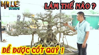 Nam Lê cùng a Tuấn Hà Đông sau 1 hồi bàn luận đã có phương án cho 1 cốt cây quá khó | NamLe Bonsai