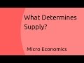 What Determines Supply | Supply | CA CPT | CS & CMA Foundation | Class 11 | Class 12