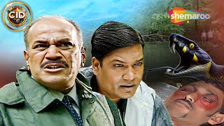 जब CID का हुआ भयानक Cobra से सामना || सी.आई.डी | CID New Episode 2024