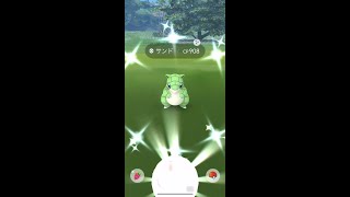 【ポケモンGO】色違いサンド！コミュニティデイ #shorts