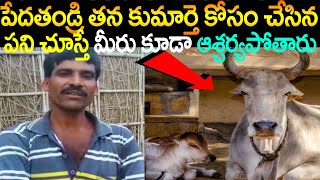 పేదతండ్రి తన కుమార్తె పెళ్లి కోసం ఆవును అమ్మేశాడు.! అప్పుడు పోలీసులు ఏమి చేశారో చూస్తే ఆశ్చర్యపోతారు