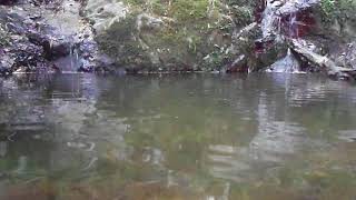 天狗の隠し水　鳥野神社脇の小渓流　　福岡県直方市内:ヶ磯