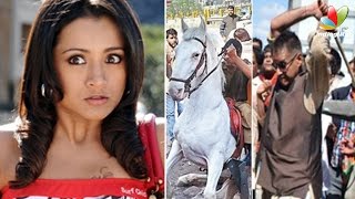 Fans slam Trisha over her remarks on Horse issue| Hot Cinema News