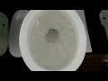 8 toilets flushing in reverse