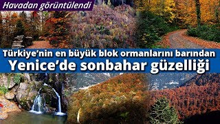 Yenice Ormanlarının Sonbahar Güzelliği Havadan Görüntülendi