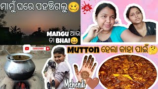 ମାମୁଁ ଘରେ ପହଞ୍ଚିଗଲୁ🥴 || Mutton ହେଲା କାହା ପାଇଁ🤔 || Mangu ଆଉ ତା ଭାଇ😀 ||Barshu's Dairy📒||#subscribe