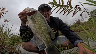 INSANE Day of Fall Bass Fishing! 30+ Bass!