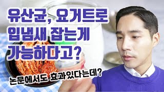 논문도 인정하는 유산균으로 입냄새,  충치,  잇몸병 방지 (feat. 치과의사 피셜)