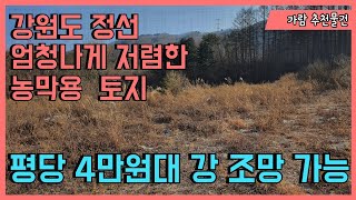 낙찰 완료)강원도 정선군 정선읍 시내생활권 저렴한 토지 836평,3천3백8십만원 경매진행