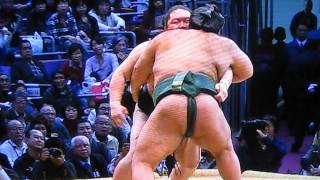 TAKAYASU Maegashira 3 vs GOIEDO Ozeki  11-16-2014   HE WON  ( ENGLISH VIDEO CLIP)